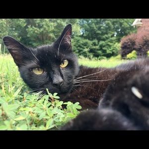 Meet your Posher, Ellie